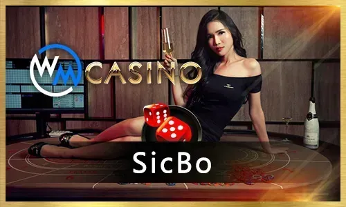 Guide to ptgaming Slots